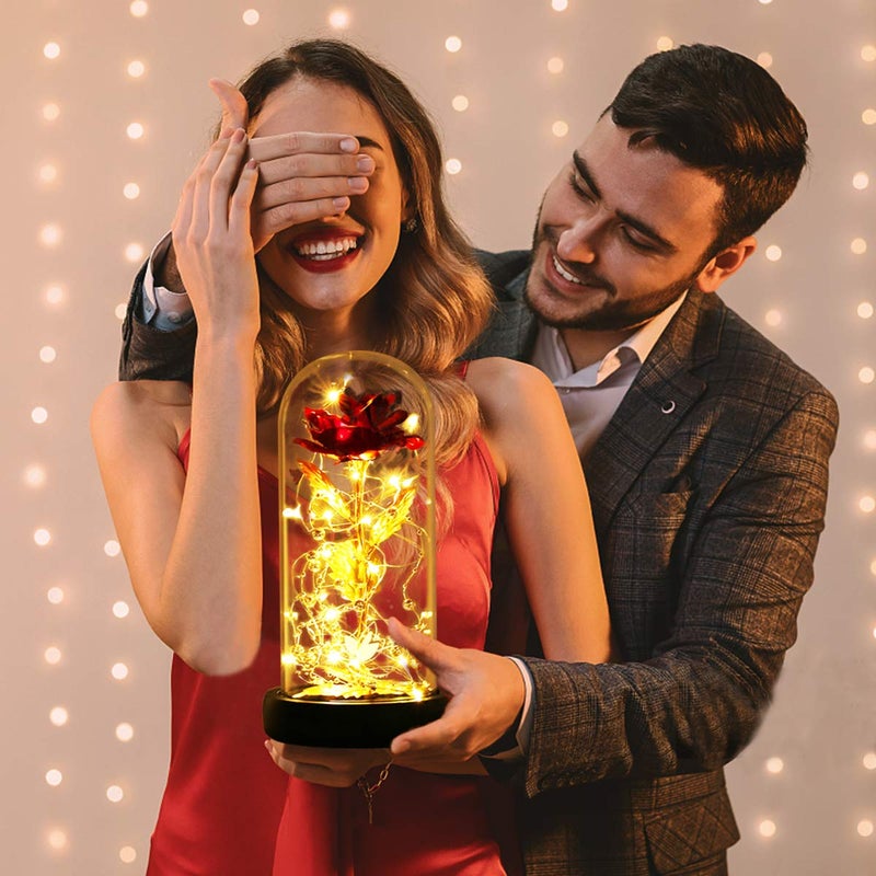 Dream of Flowers Valentines Day Gifts for her, Beauty and The Beast Rose, Birthday Gifts for Women, Glass Dome Glowing Rose, Eternal Rose Blessing Valentine Flowers Gift for Mother Wife, or Girlfriend - Image 3